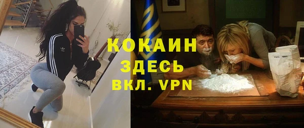 хмурый Алзамай