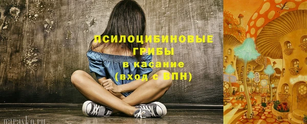 а пвп мука Алексеевка