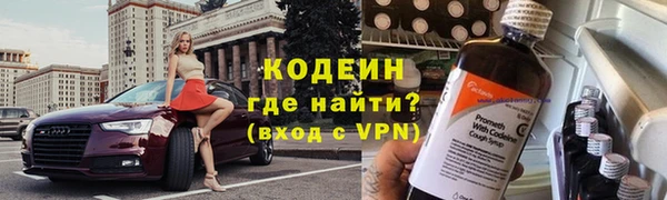 хмурый Алзамай